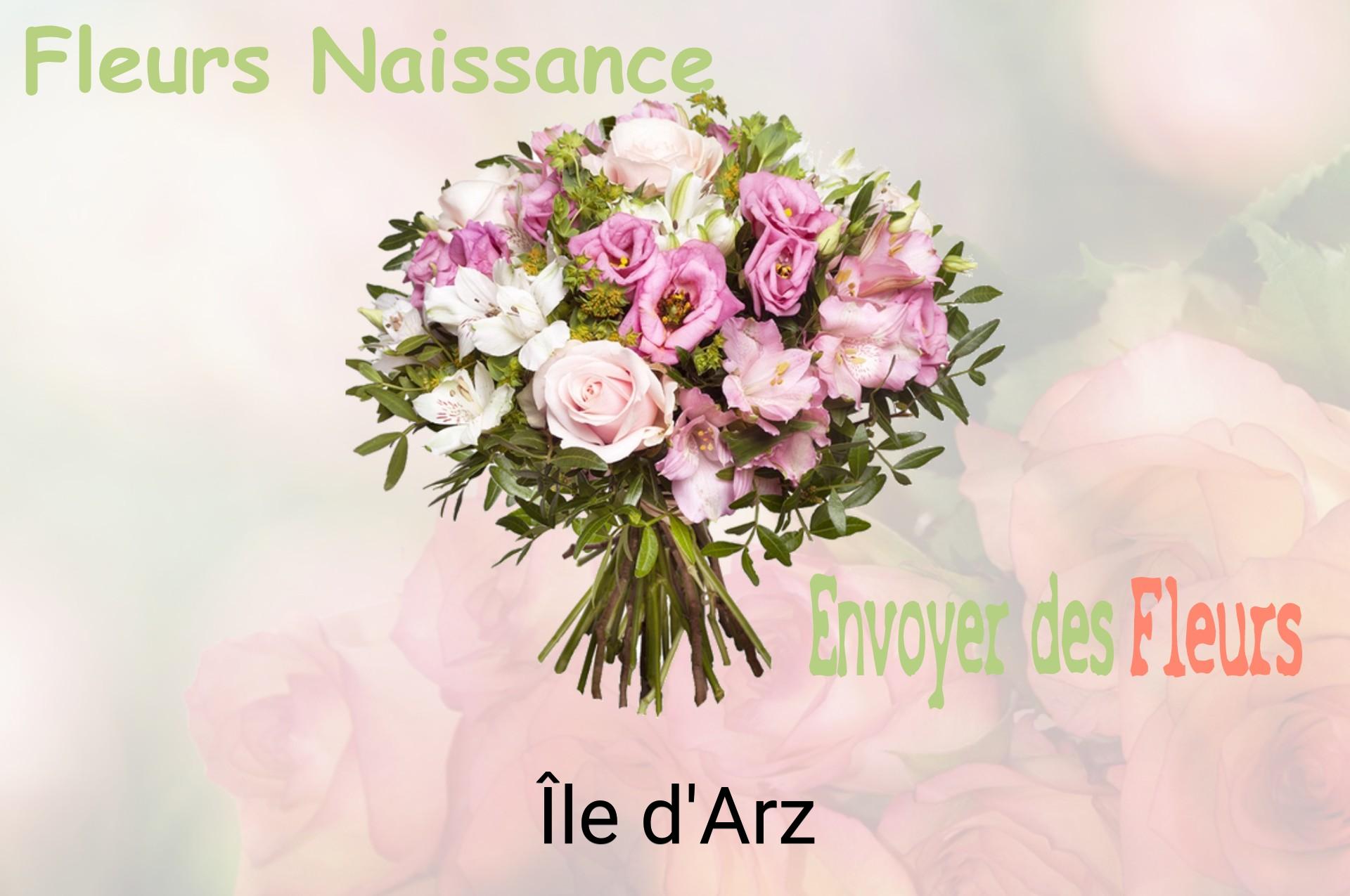 Bouquet de fleurs de naissance livré à Île-d'Arz